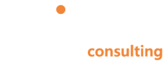 Salience Consulting